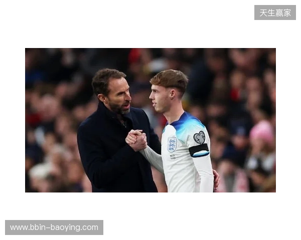 图赫尔谈10号位：一阶段考察帕尔默&福登；二阶段贝林&罗杰斯